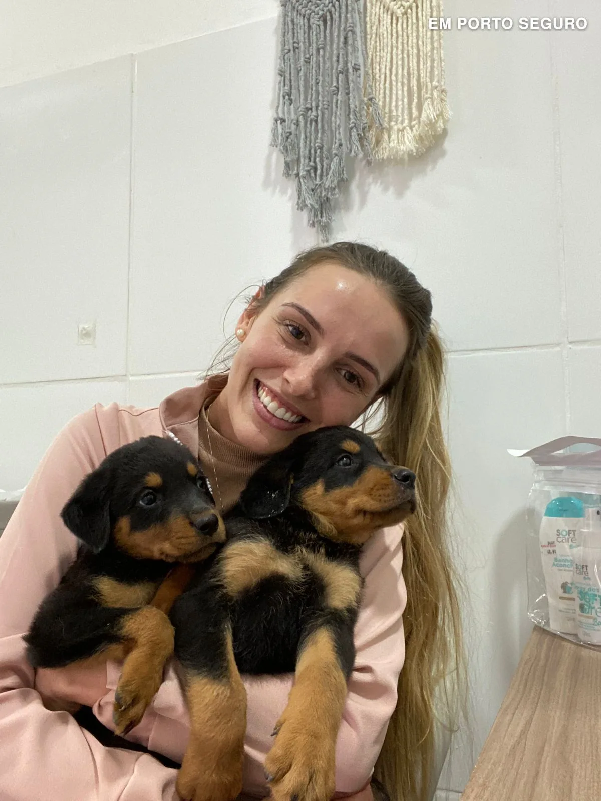 Consultório Veterinário do Pet