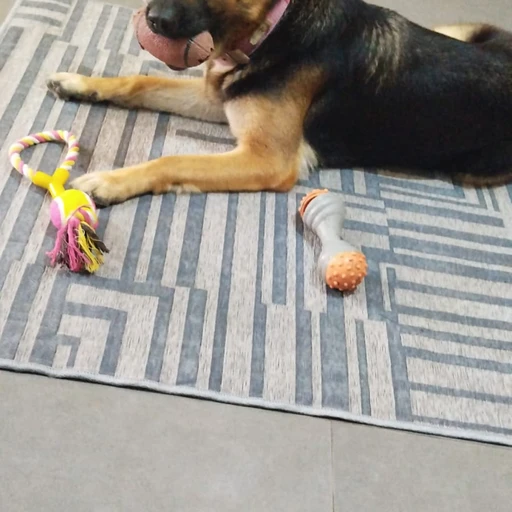 Clínica Veterinária d'Ajuda Pets